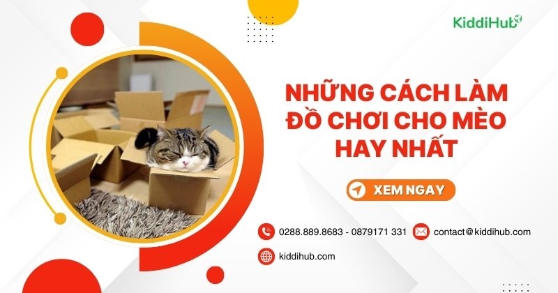 Hướng dẫn cách làm đồ chơi cho mèo đơn giản và nhanh chóng