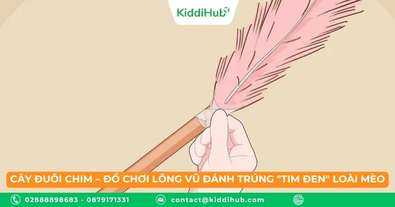 Cây đuôi chim – đồ chơi lông vũ đánh trúng "tim đen" loài mèo