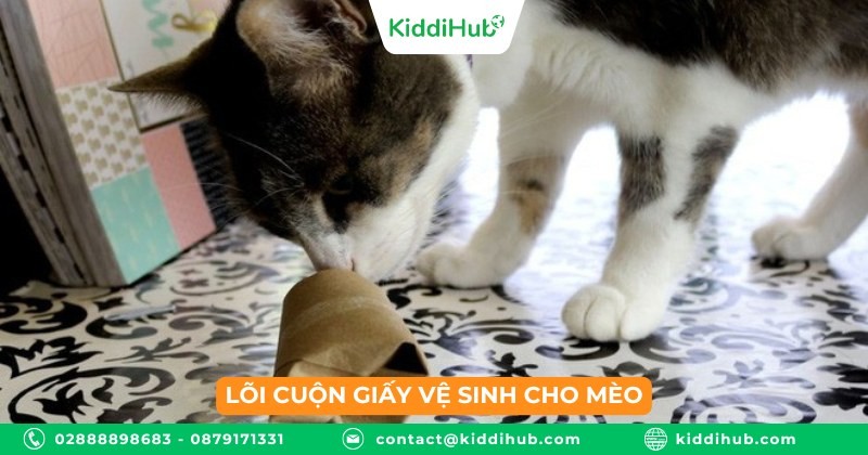 Lõi cuộn giấy vệ sinh cho mèo