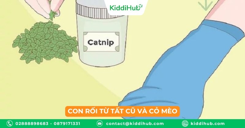 Con rối từ tất cũ và cỏ mèo