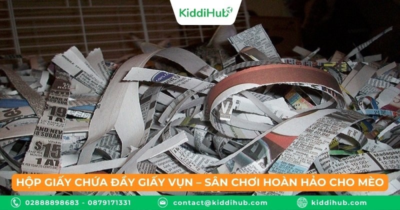 Hộp giấy chứa đầy giấy vụn – sân chơi hoàn hảo cho mèo
