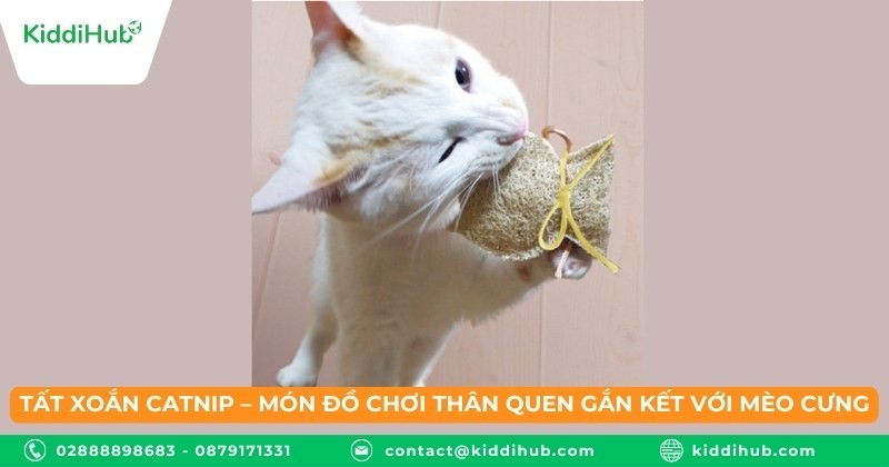 Tất xoắn catnip – món đồ chơi thân quen gắn kết với mèo cưng