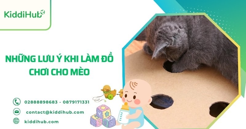 Những lưu ý khi làm đồ chơi cho mèo