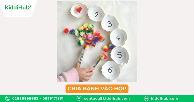 Chia bánh vào hộp