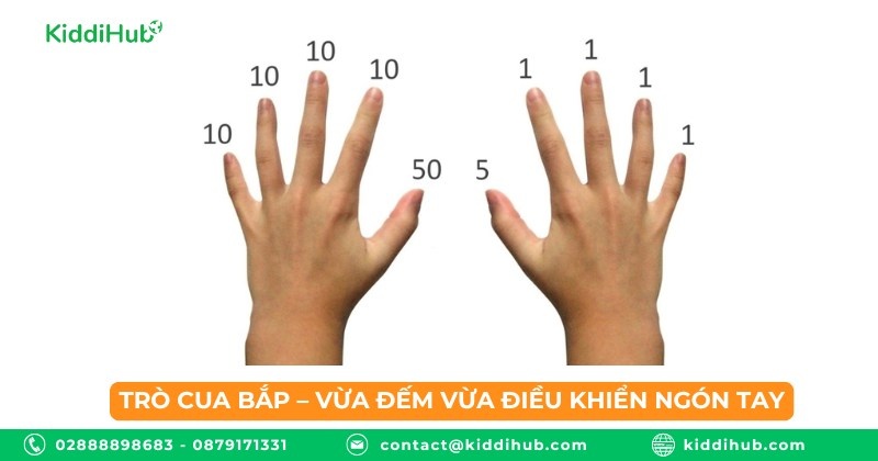 Trò cua bắp – vừa đếm vừa điều khiển ngón tay