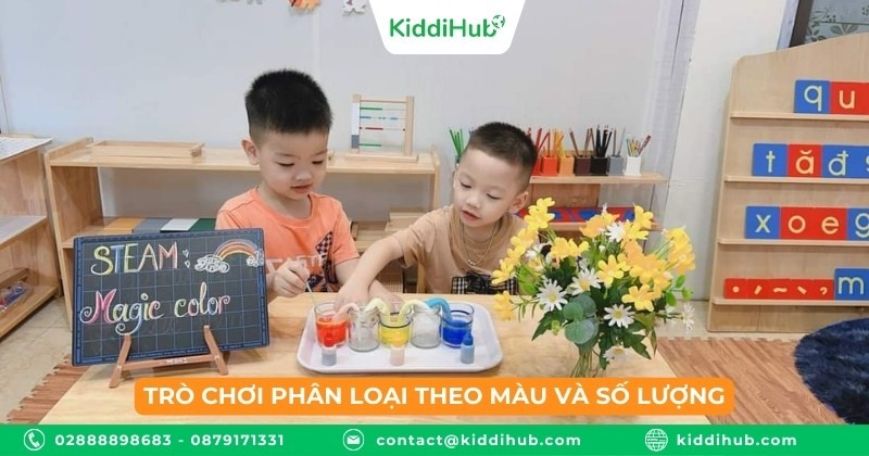 Trò chơi phân loại theo màu và số lượng