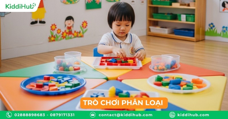 Phân loại – Học cách sắp xếp và nhận diện