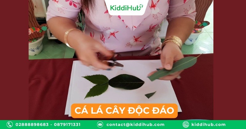 Cá lá cây độc đáo