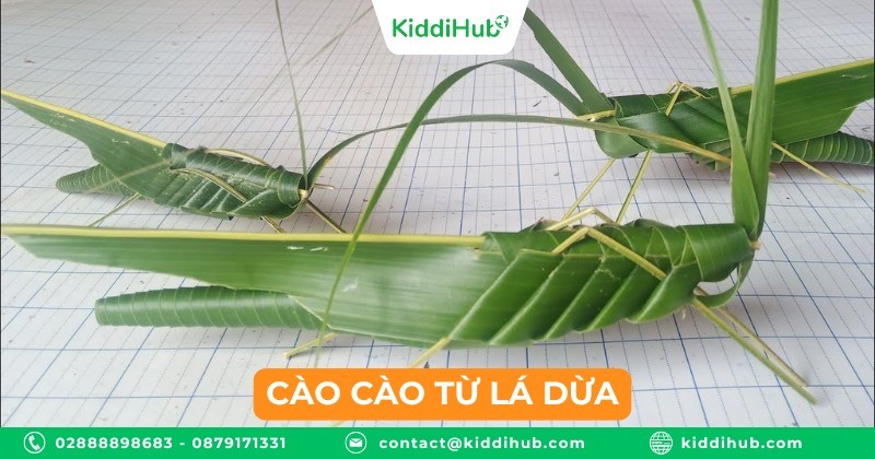 Cào cào từ lá dừa