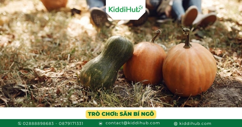 Trò chơi: Săn bí ngô