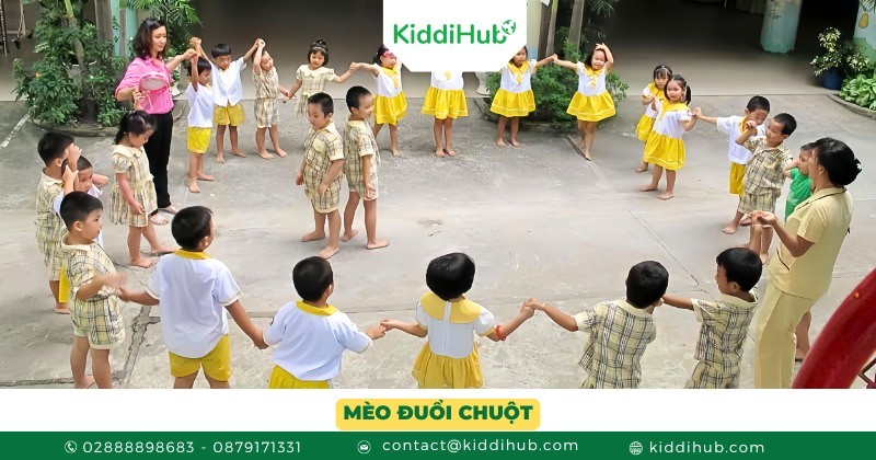 Mèo đuổi chuột