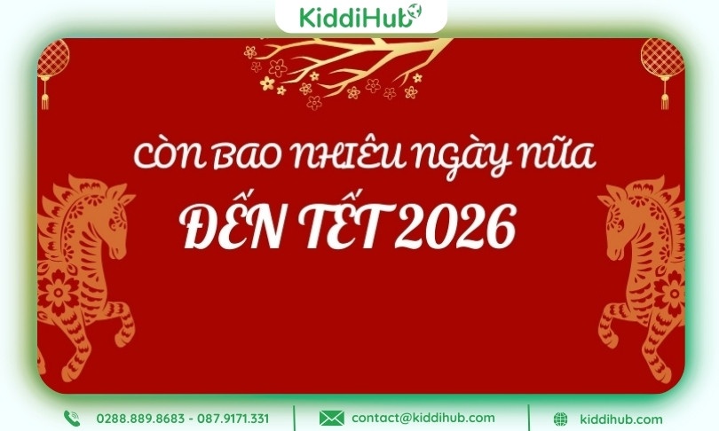 Theo dõi công cụ đếm ngược để biết còn bao nhiêu ngày nữa đến Tết Dương lịch
