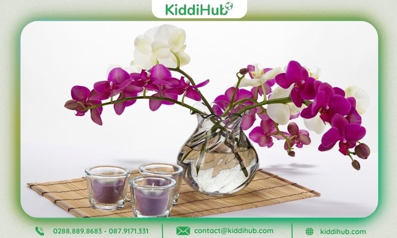 Cắm hoa 20 11 Lan – Thanh lịch và sang trọng