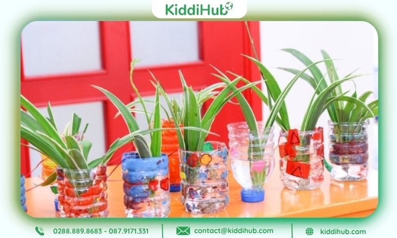 Trang trí lớp 20 11 bằng những chậu cây nhỏ nhắn, đầy sức sống