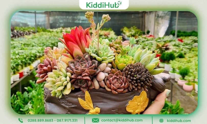 Chậu cây mini – Món quà nhỏ mang ý nghĩa gieo mầm tri thức và yêu thương