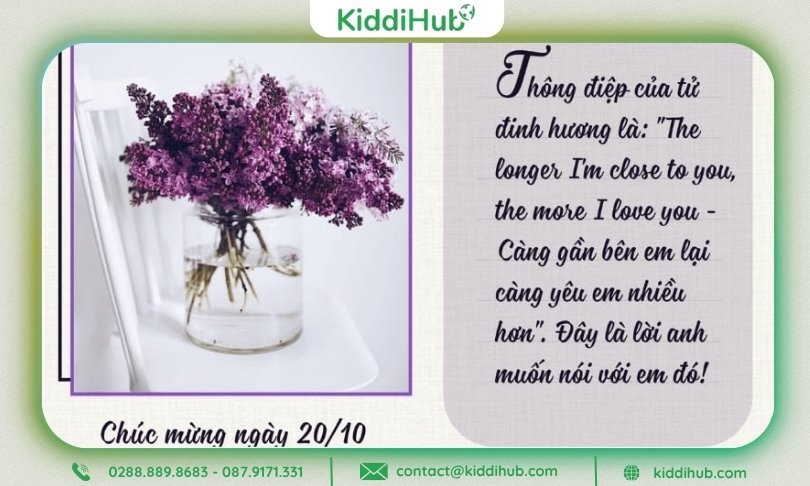 Hình ảnh 20/11 cùng lời chúc tinh tế mang đến niềm vui và nụ cười rạng rỡ