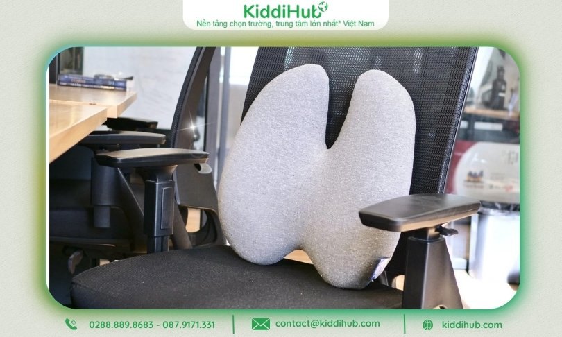 Đệm lưng hoặc đệm ngồi – Quan tâm đến sức khỏe nhân viên