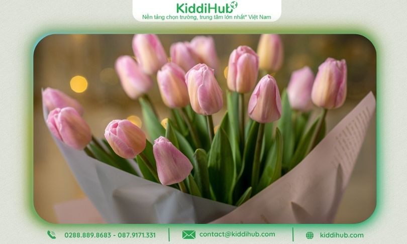 Hoa Tulip biểu tượng của tình yêu vĩnh cửu, gắn bó dài lâu