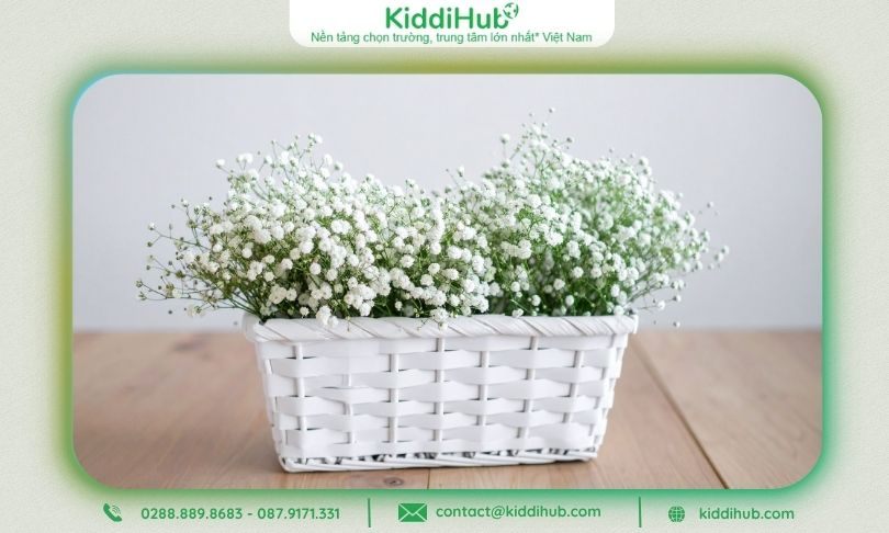 Hoa bi trắng tượng trưng cho tình yêu bền lâu