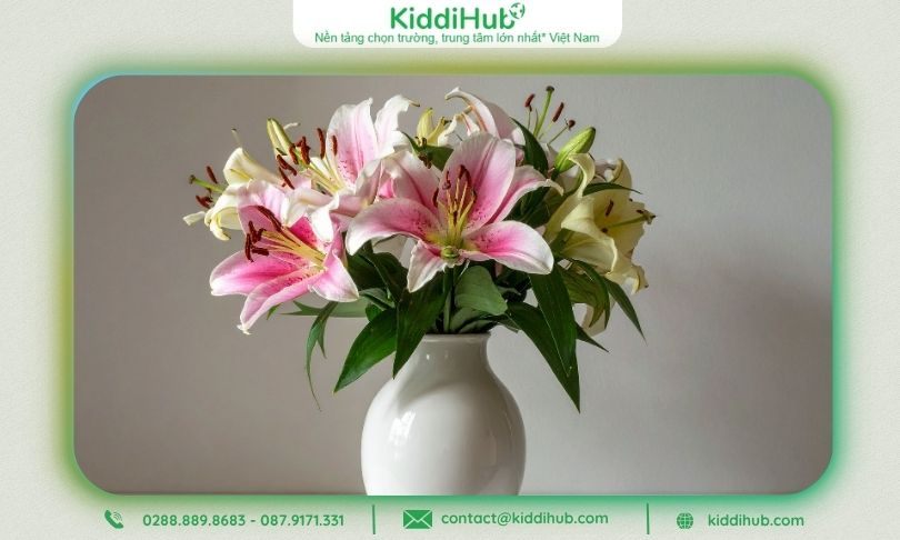 Hoa ly hồng có hương thơm dịu ngọt