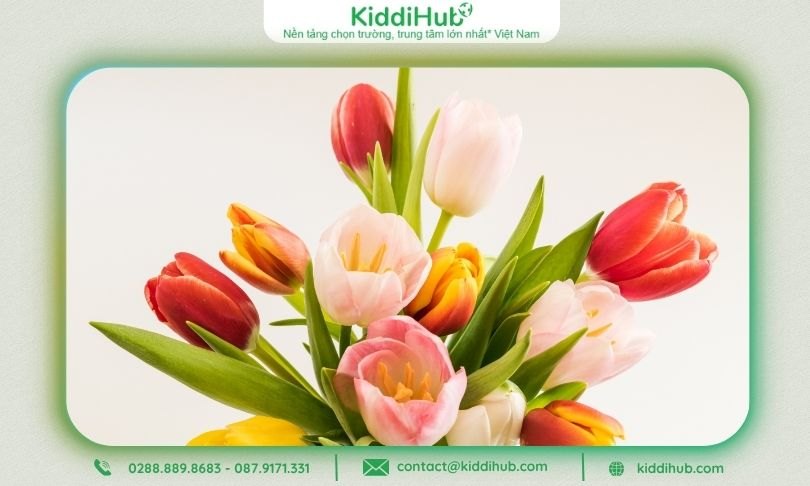 Hoa Tulip phối trông đẹp mắt khiến vợ bạn mê mẩn