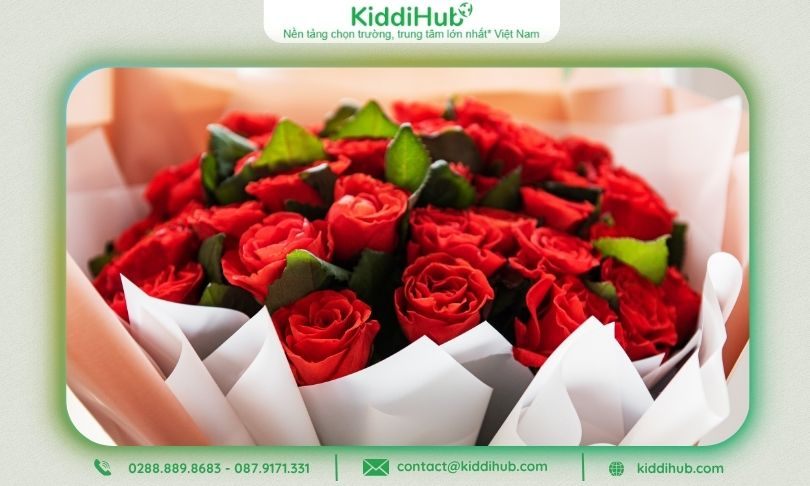 Hoa hồng 20/10 lãng mạng không nên bỏ qua Ecuador