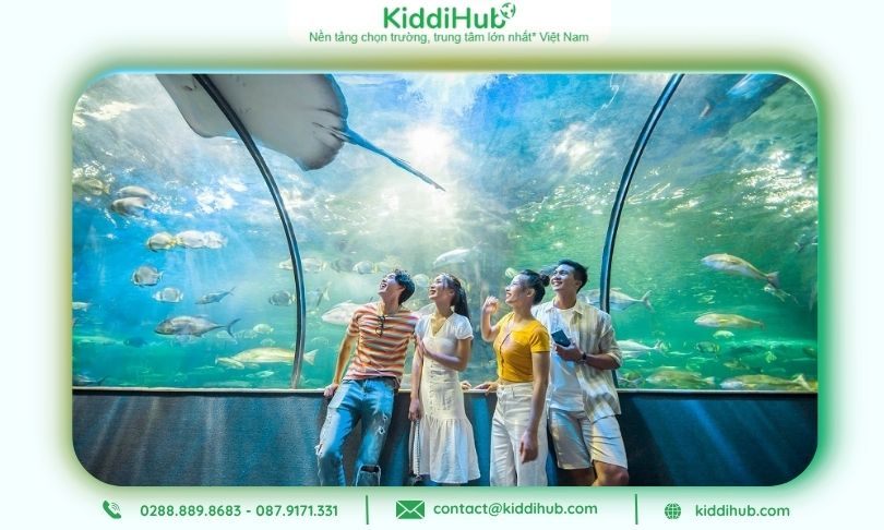 Đắm chìm thế giới đại dương giữa lòng thành phố tại Vinpearl Aquarium