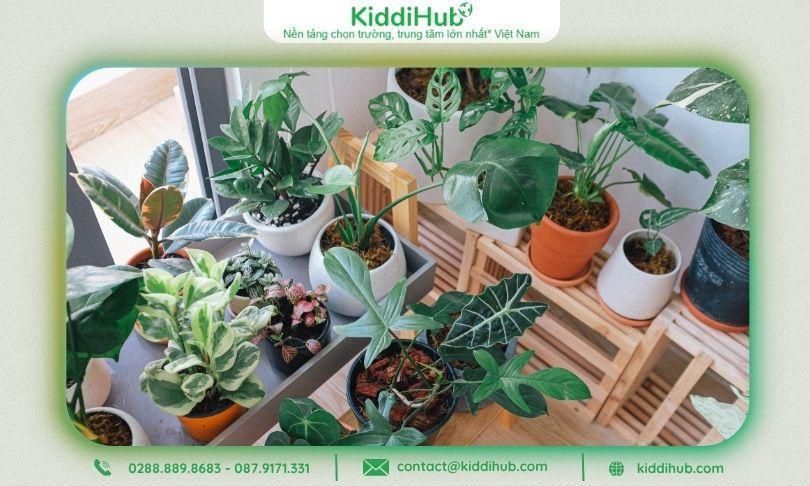 qua-20-11-cho-co-giao-mam-non