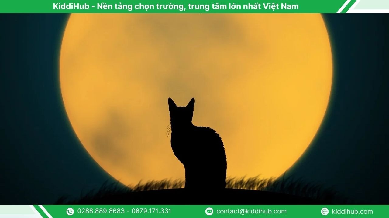 Vẽ mèo đen và các sinh vật huyền bí
