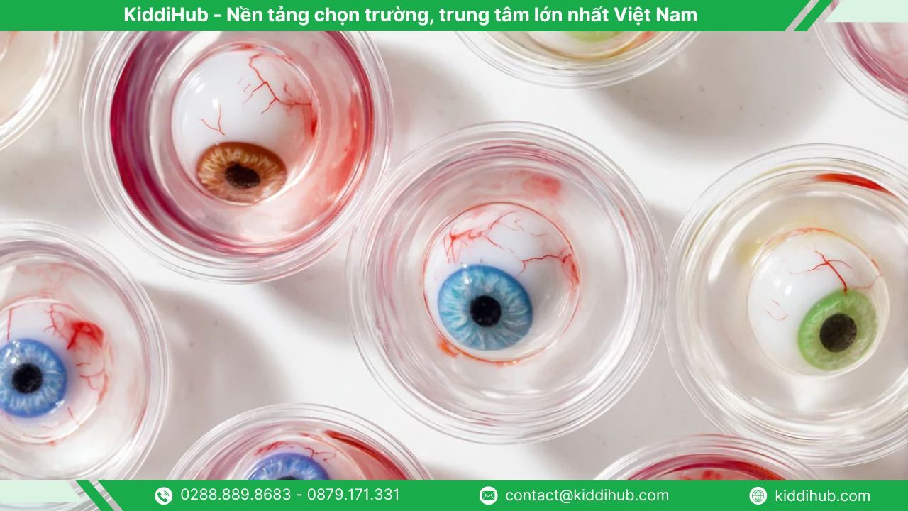 Thạch nhãn cầu