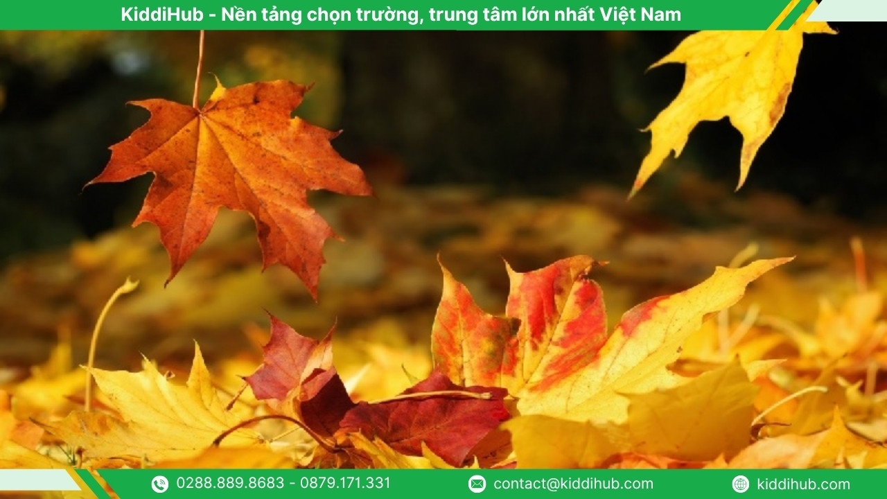 Truyện ngắn 20/11 hay: Ân tình còn mãi