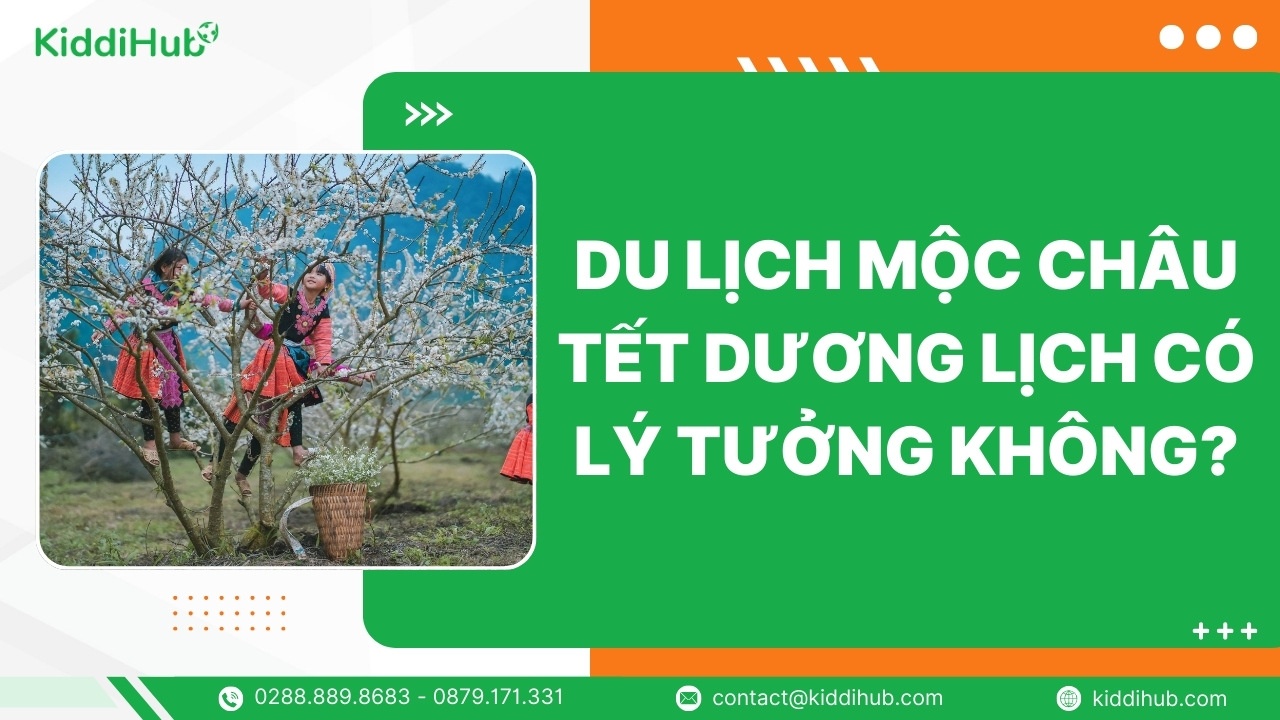 Du lịch Mộc Châu Tết Dương Lịch có lý tưởng không?