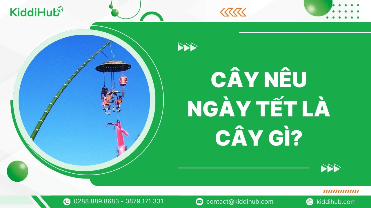 Cây nêu ngày Tết là cây gì?