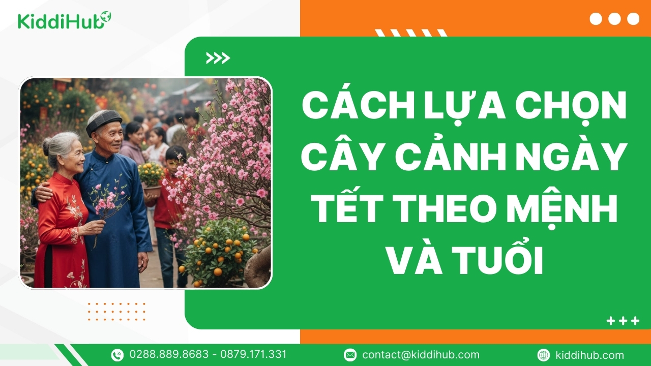 Cách lựa chọn cây cảnh ngày Tết theo mệnh và tuổi