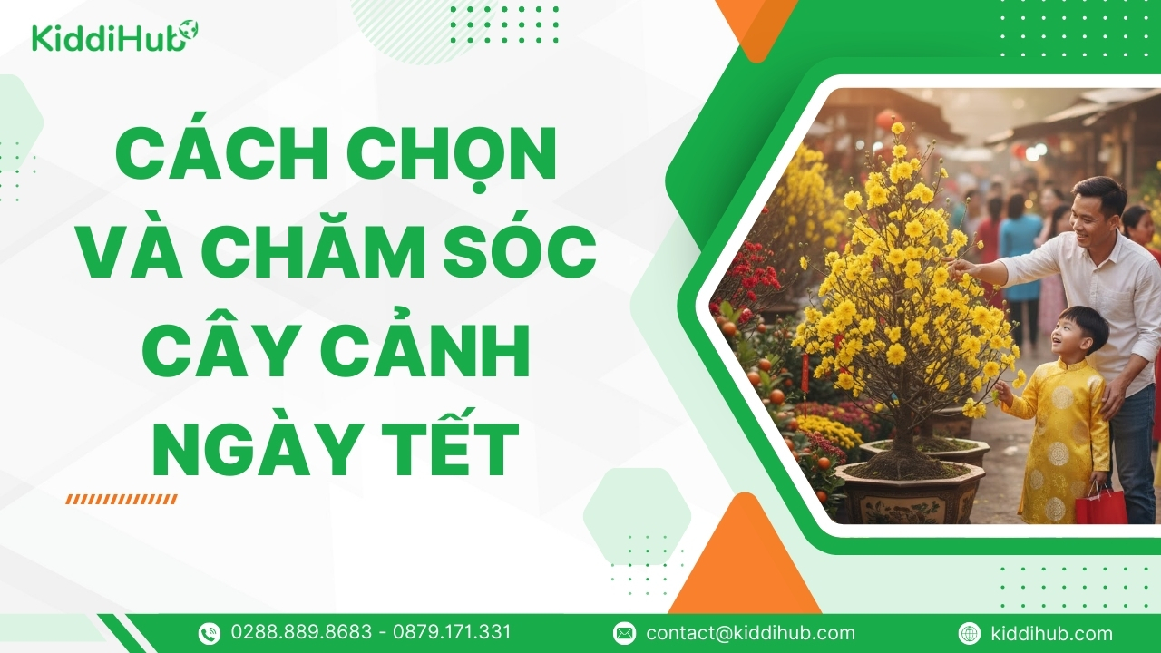 Cách chọn và chăm sóc cây cảnh ngày Tết