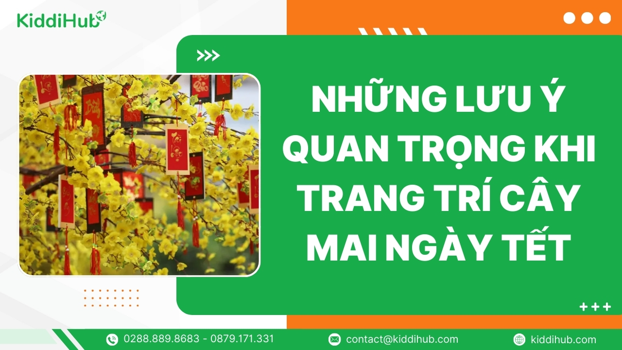 Những lưu ý quan trọng khi trang trí cây mai ngày Tết