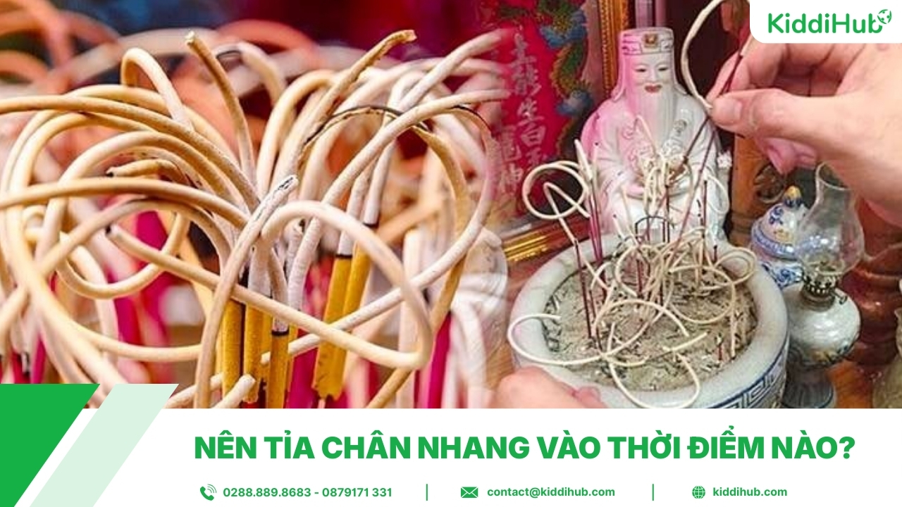 Nên tỉa chân nhang vào thời điểm nào?