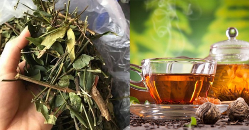 say-thai-an-gi-cho-ra-het-mau