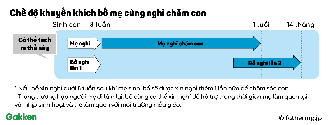 Bài học luật pháp cho người cha kiểu mới
