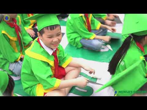 video trạng nguyên nhí TH Cẩm Bình