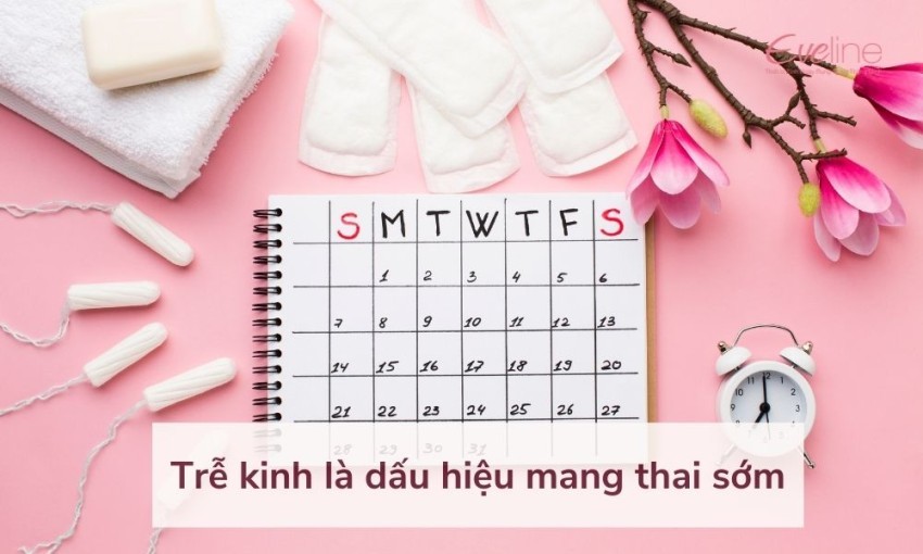 dau-hieu-mang-thai-2-tuan