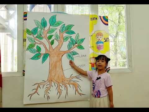 Thuyết trình chủ đề: Tree