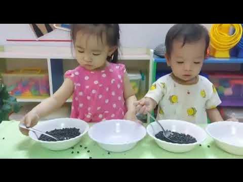 Mầm Non Tuệ Tâm - Hiệp Bình Chánh