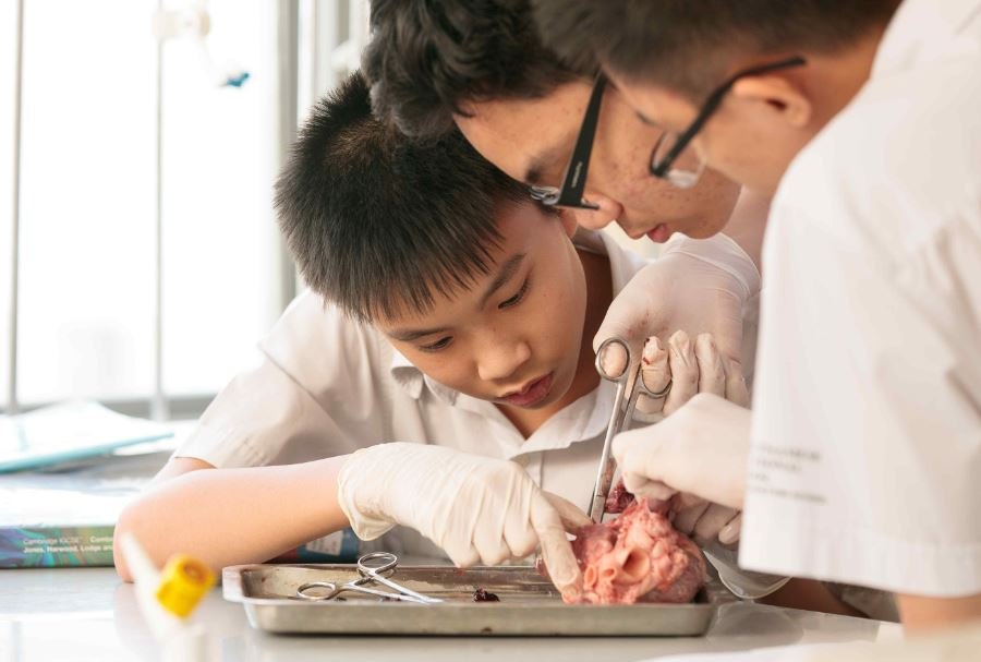 truong-chuyen-biet-la-gi-2