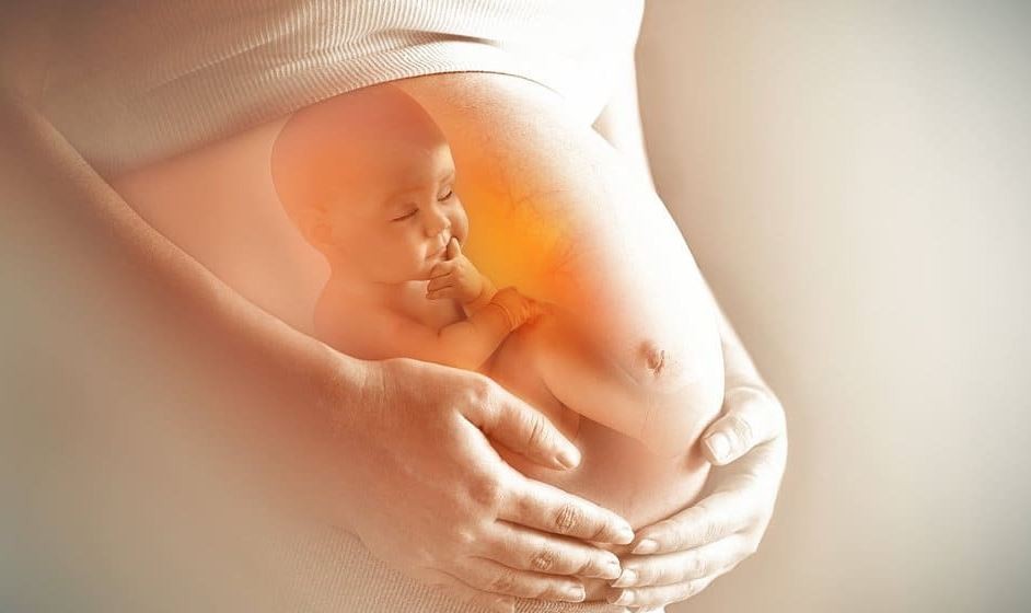 thai-nhi-phat-trien-nhanh-nhat-khi-nao