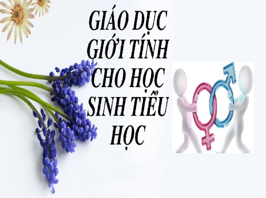 giao-duc-gioi-tinh-cho-hoc-sinh-tieu-hoc-1