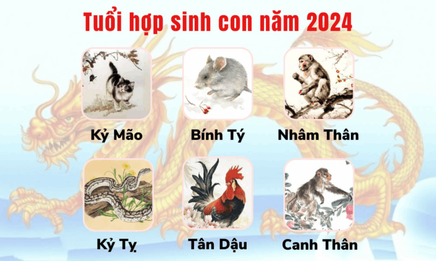 sinh-con-nam-2024-menh-gi