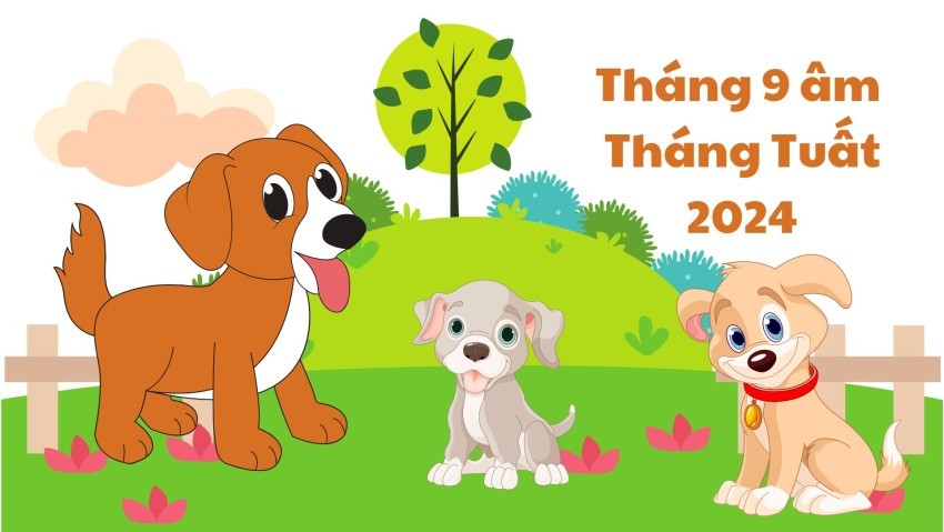 sinh-con-nam-2024-menh-gi