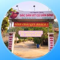 Lớp Bơi Cội Nguồn Quán - Nam Cường