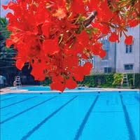 Lớp dạy bơi HPU - Lê Chân